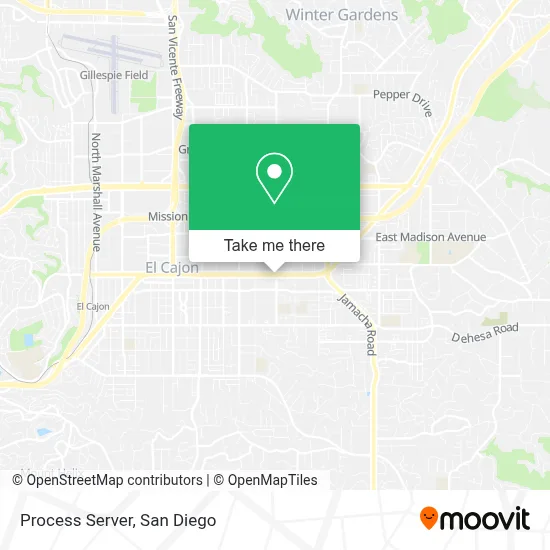 Process Server map