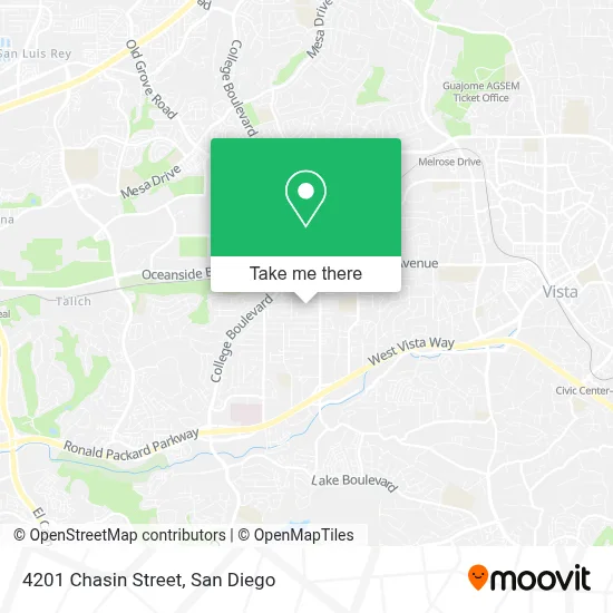 4201 Chasin Street map