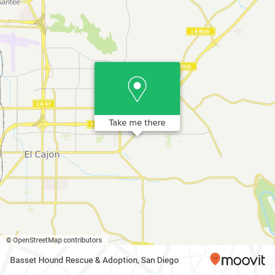 Basset Hound Rescue & Adoption map