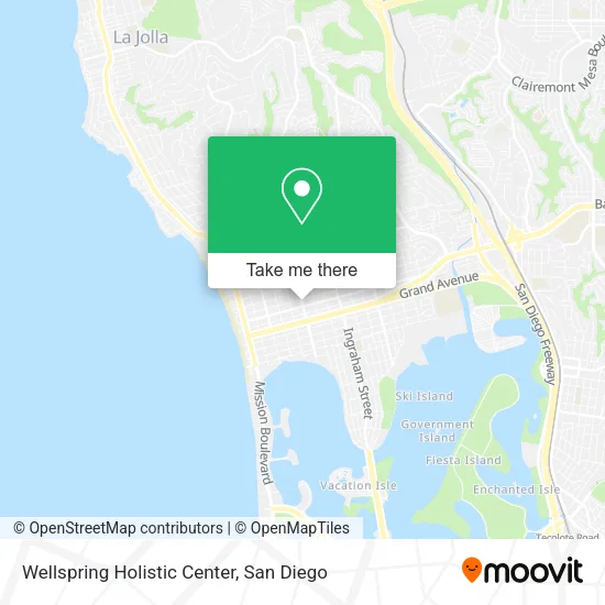 Mapa de Wellspring Holistic Center
