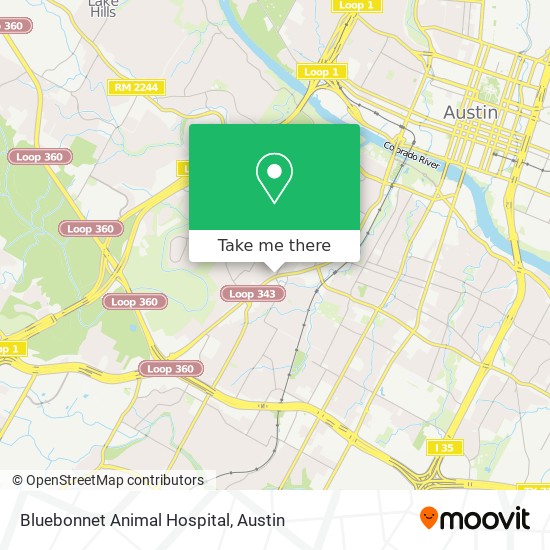 Bluebonnet Animal Hospital map