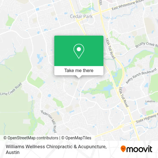 Williams Wellness Chiropractic & Acupuncture map