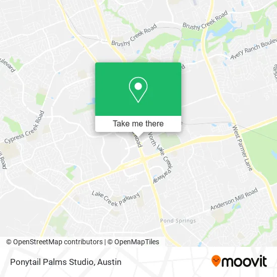Ponytail Palms Studio map