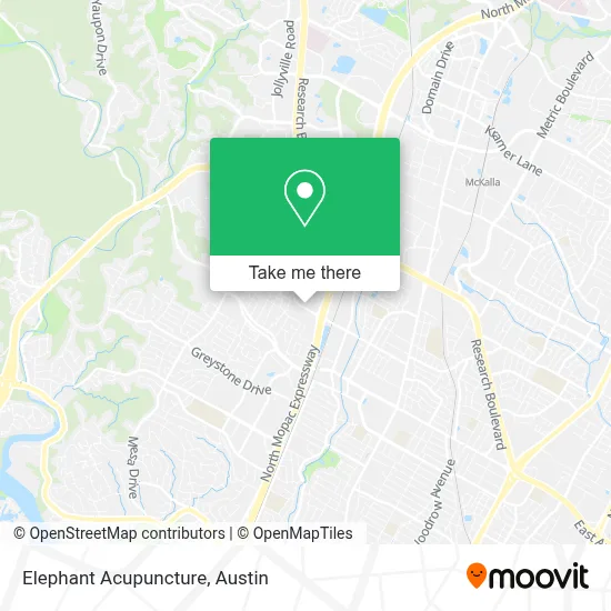 Elephant Acupuncture map