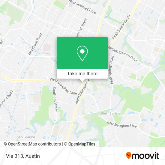 Via 313 map