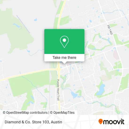 Diamond & Co. Store 103 map