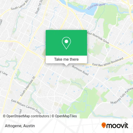 Attogene map