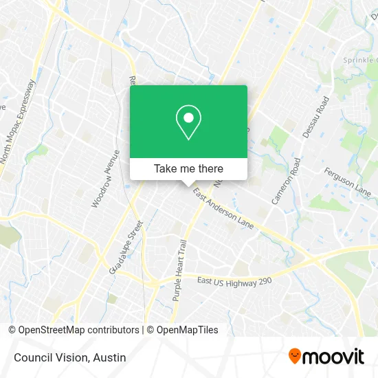 Council Vision map