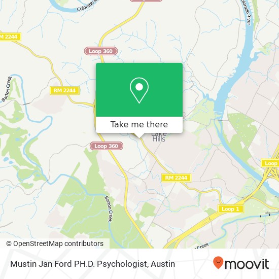 Mapa de Mustin Jan Ford PH.D. Psychologist