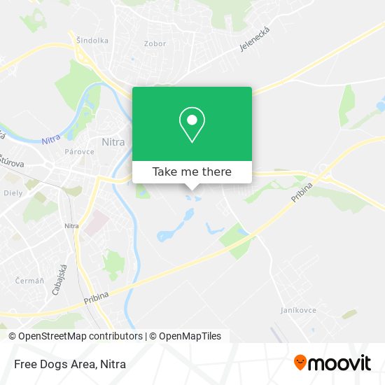 Free Dogs Area map