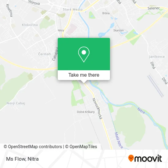 Ms Flow map