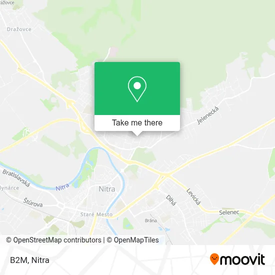 B2m map