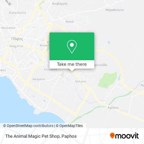 The Animal Magic Pet Shop map
