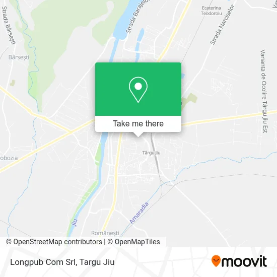 Longpub Com Srl map