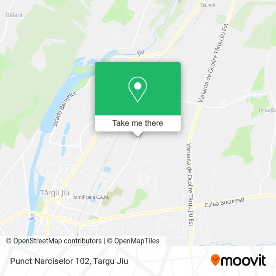 Punct Narciselor 102 map