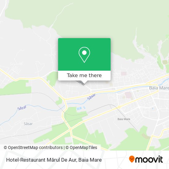Hotel-Restaurant Mărul De Aur map