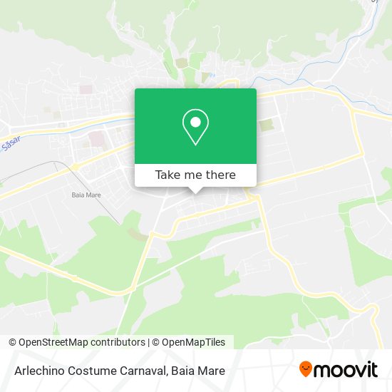 Arlechino Costume Carnaval map