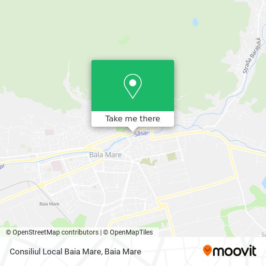 Consiliul Local Baia Mare map