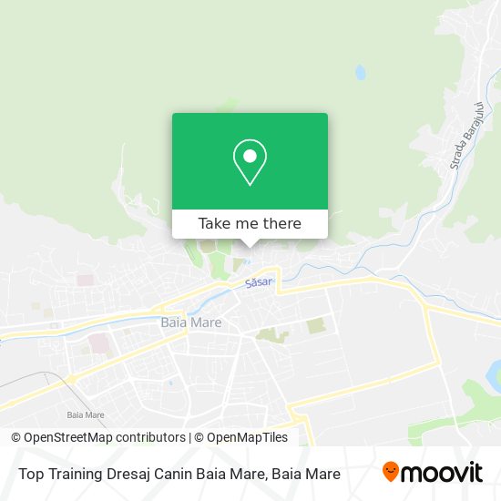 Top Training Dresaj Canin Baia Mare map
