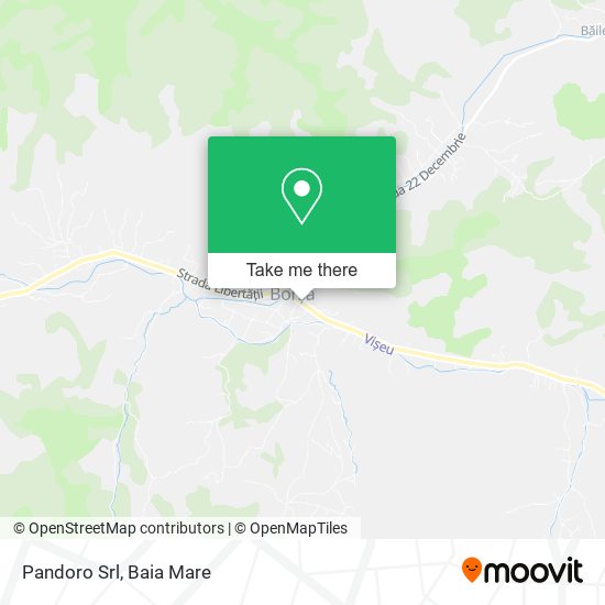 Pandoro Srl map