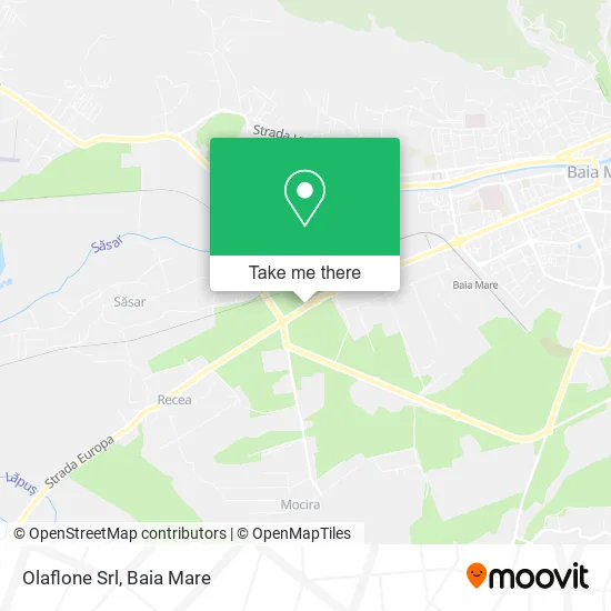 Olaflone Srl map
