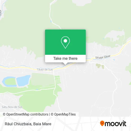 Râul Chiuzbaia map