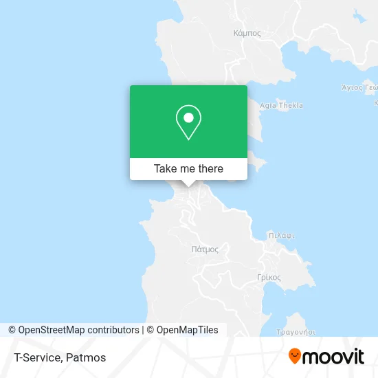 T-Service map