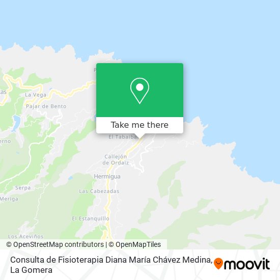 Consulta de Fisioterapia Diana María Chávez Medina map