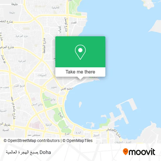 صبغ الهجرة العالمية map
