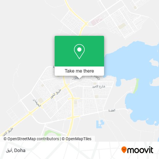 أنيق map