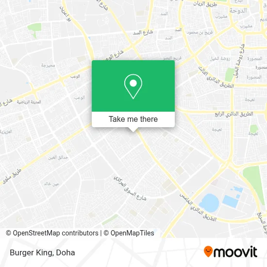 Burger King map