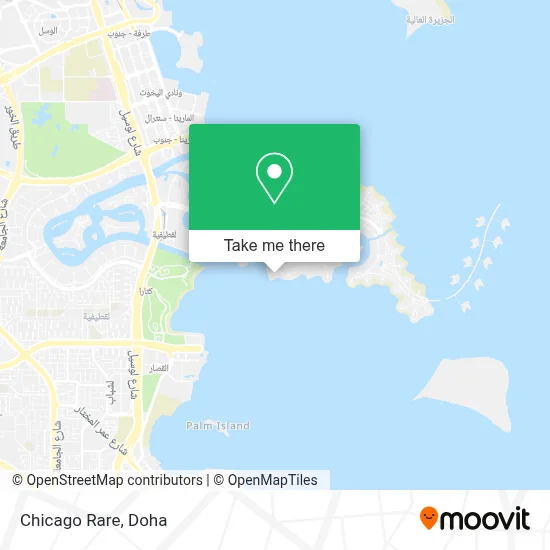 Chicago Rare map