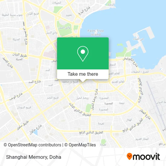 Shanghai Memory map