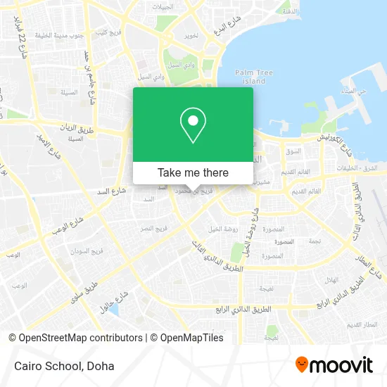 Cairo School map