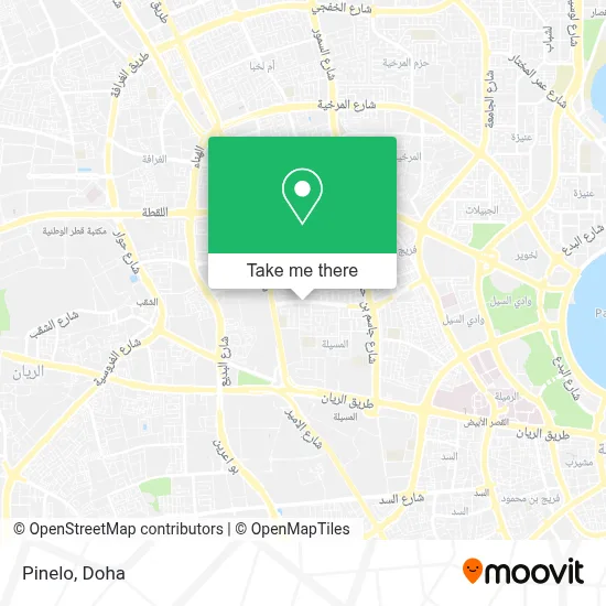 Pinelo map