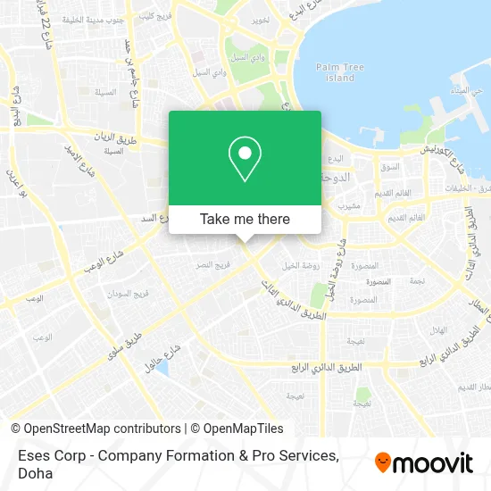 Eses Corp - Company Formation & Pro Services map