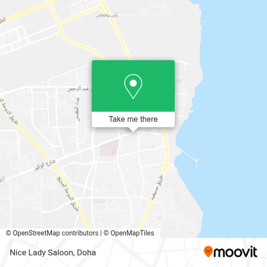 Nice Lady Saloon map