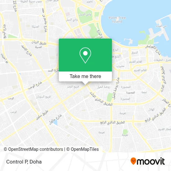 Control P map