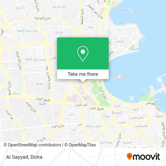 Al Sayyad map