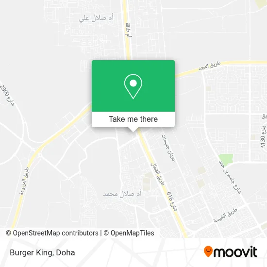 Burger King map