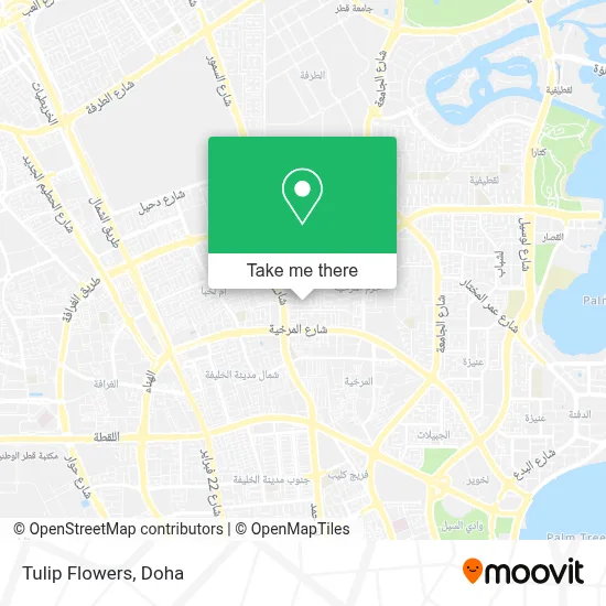 Tulip Flowers map