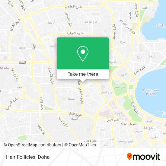 Hair Follicles map