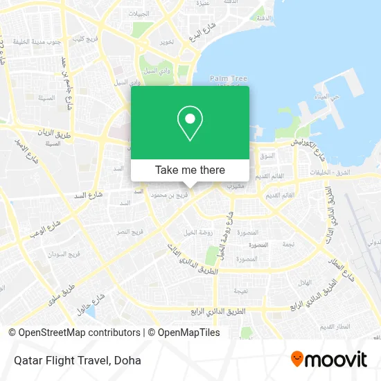 Qatar Flight Travel map