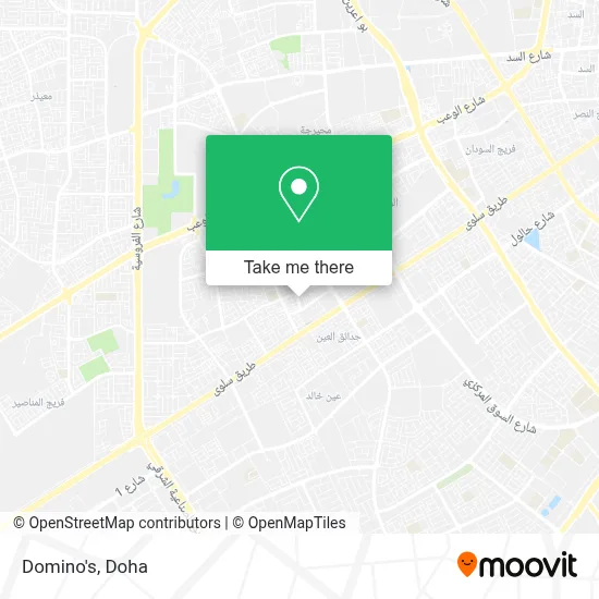 Domino's map