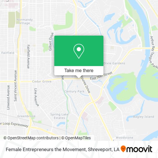 Female Entrepreneurs the Movement map