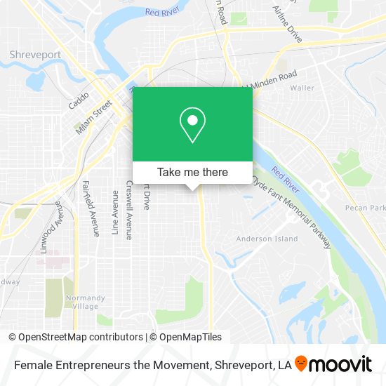 Female Entrepreneurs the Movement map