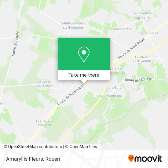 Amaryllis Fleurs map