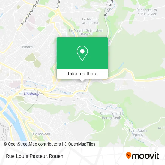 Rue Louis Pasteur map