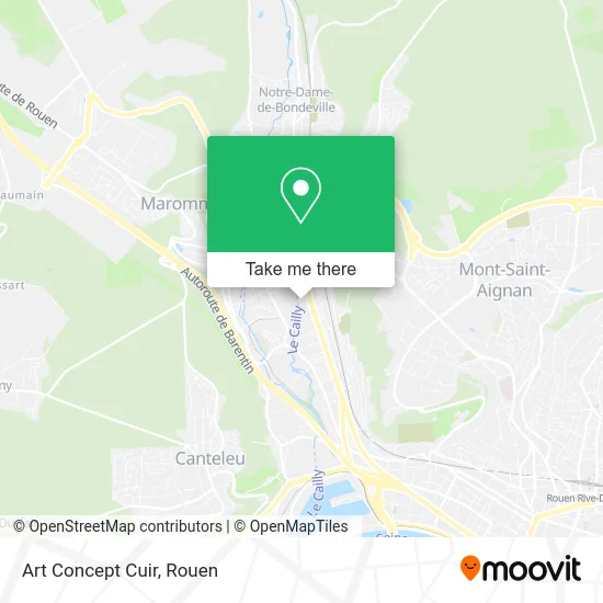 Art Concept Cuir map