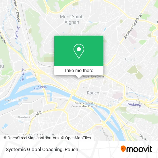 Systemic Global Coaching map